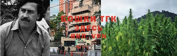 тгк Вязники
