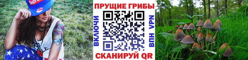 Галлюциногенные грибы MAGIC MUSHROOMS  купить закладку  Омск 