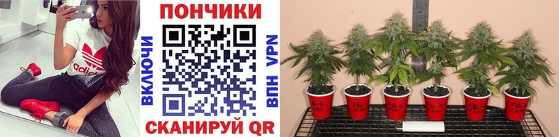 наркошоп  Омск  Конопля тримм 